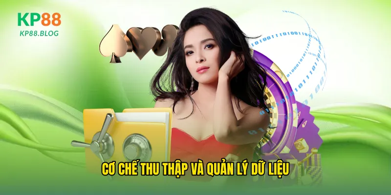 Cơ chế thu thập và quản lý dữ liệu